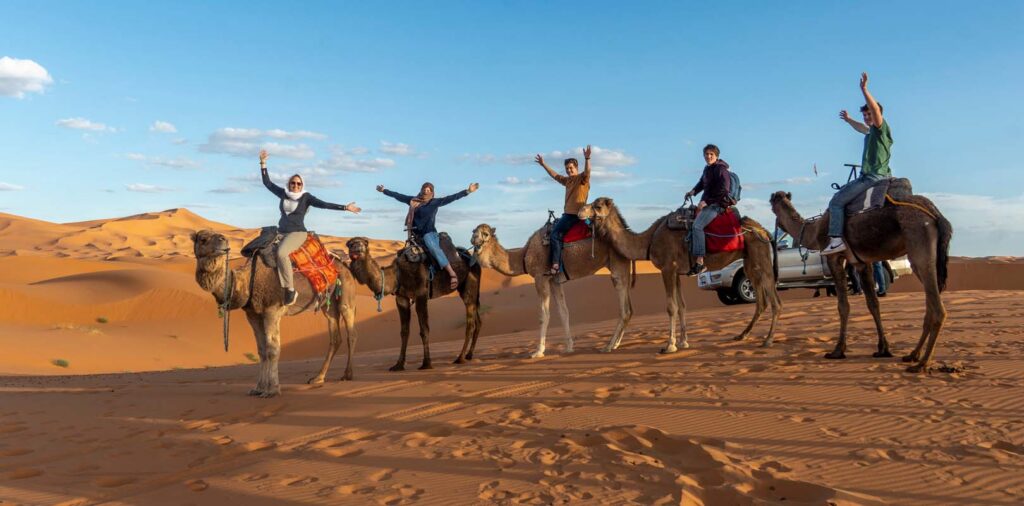 Camel Rides